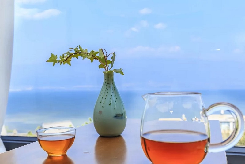 夏令營的起源是什么？